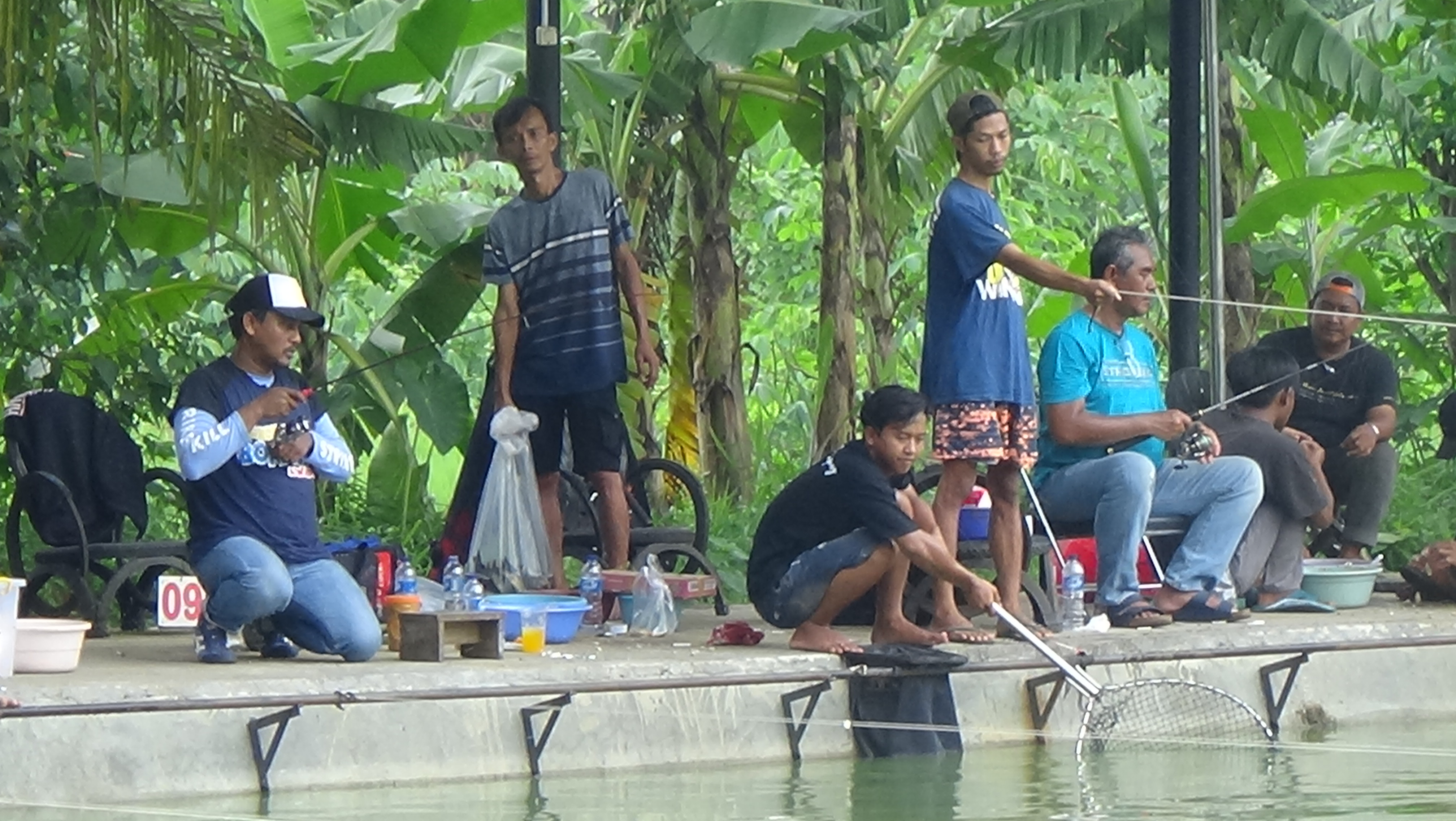 Teknik mancing ikan mas lomba